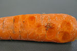 Photo of bacterial soft rot on carrot