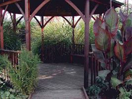 Garden gazebo surrounded by plants.