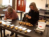 Researchers examine specimens and record findings in the lab.