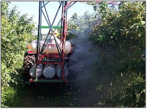 Tractor-mounted sprayer applying miticide to red raspberry canes.