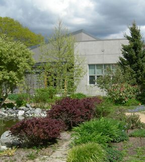 Garden with building in background.