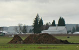 Compost piles in field, barns in background.