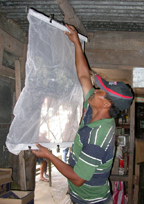Man examining a large silkscreen bag.