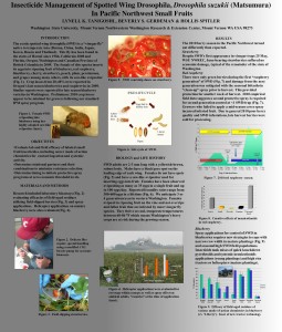 Research poster (view larger)