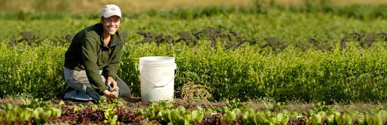 Smiling woman kneels next to white bucket in the field.