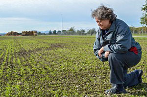 Dr. Susan Kerr kneeling in a field.