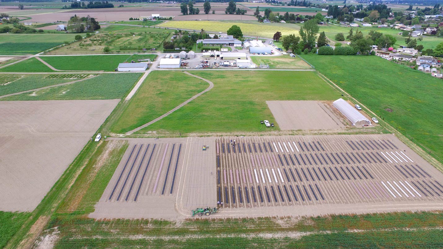Aerial view of trial plots (foreground) with NWREC facilities in the distance.
