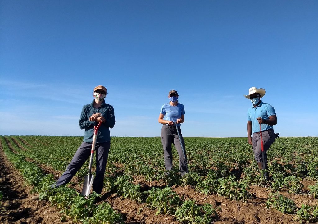 Three people stand with soil sampling tools in a field.
