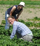 Emily Gatch (front) and Barb Holmes (back) work in the field