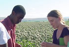 Emily and Ebrahaim examine onion blossoms