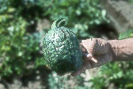 Photo of suspected zucchini yellows plus watermelon mosaic virus on pumpkin