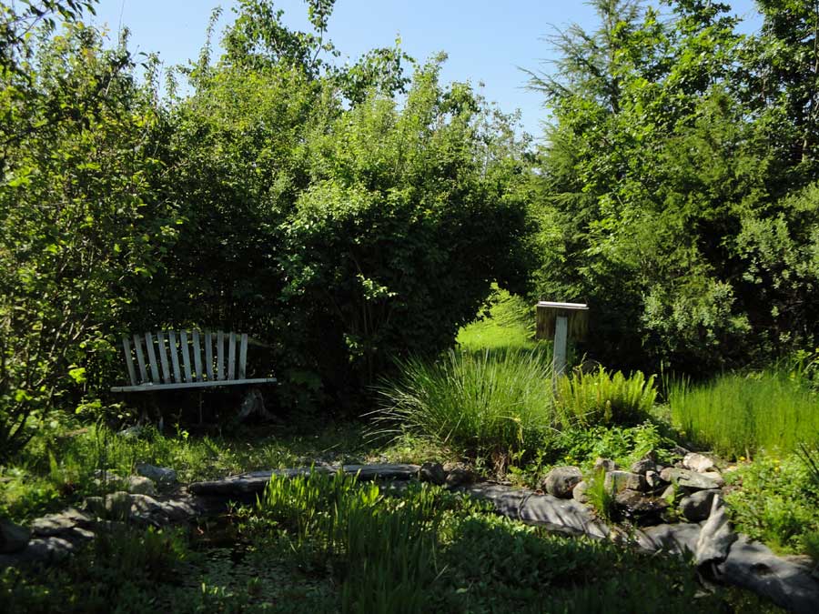 Volunteer Display Gardens | Mount Vernon NWREC | Washington State ...